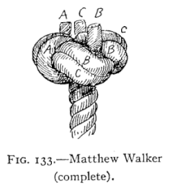 Matthew Walker knot[англ.], Matthew Walker knot.Стопорный узел, используемый на талрепах стень-вант.