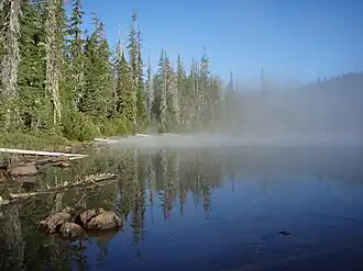 Туман над озером