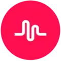 Логотип программы musical.ly