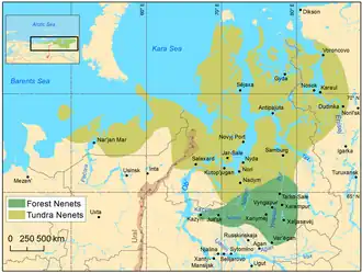 Распространение ненецких языков в XXI веке