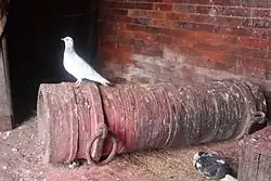 Непальская пушка