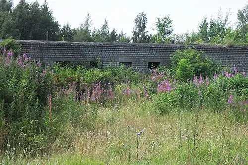 Развалины бывших военных зданий в заповеднике Пальяссааре