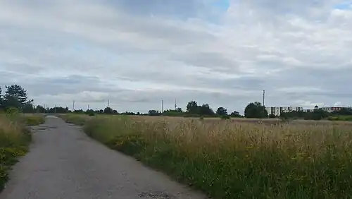 Пустыри в Паэвялья, 2017 год