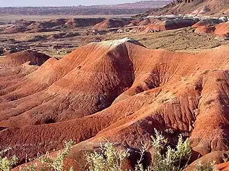 Пейнтед-Дезерт, Аризона