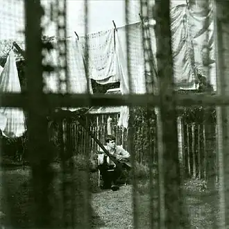 Обложка альбома Пола Маккартни «Chaos and Creation in the Backyard» (2005)