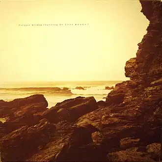 Обложка альбома Polygon Window «Surfing on Sine Waves» ()