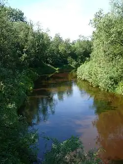 Порусья в деревне Лосытино