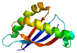 SEA Domain of MUC1. 2ACM