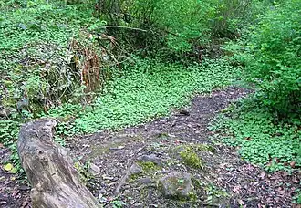 Бывшее место каменоломни