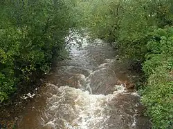 Река Куин в Куинстауне