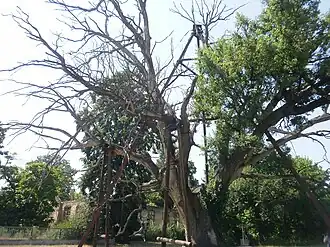 Современное состояние