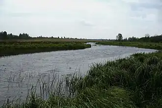Около д. Ивановка. Городокский район.