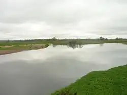 Проня в районе Славгорода