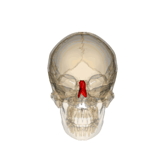 Расположение, выделены красным