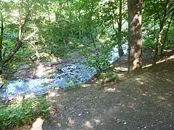 Самородинка в 2014 году