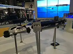 SeaFoxC Mk2 на DSEI 2019