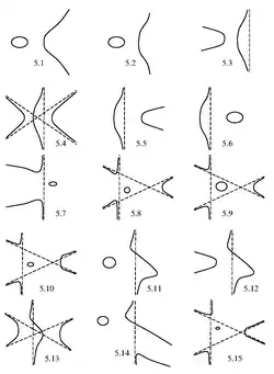 Рис. 5: Ньютоновы сечения, полученные из кубики с овалом