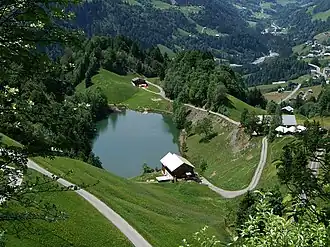 Вид на озеро Зевальдзе летом 2008 года.