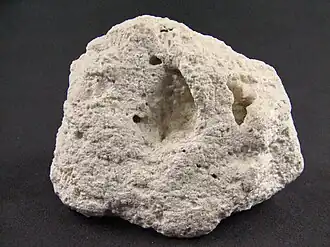 морская пенка