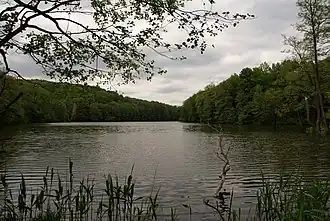 Озеро весной 2010 года