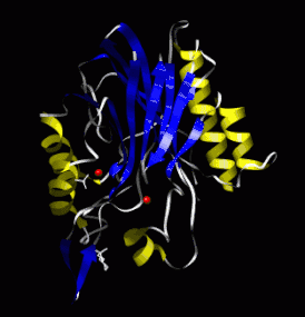 Кристаллическая структура сфингомиелиназы из Bacillus cereus