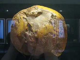 «Янтарное солнце» (3,5 кг) — в музее янтаря в Паланге