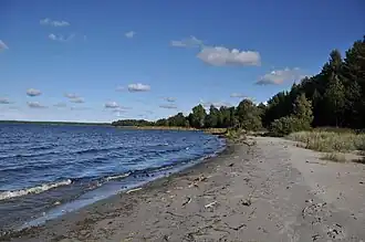 Берег моря в Таммиспеа