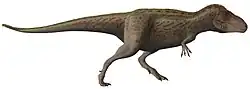 Tarbosaurus bataar