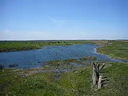 р. Большая Терновка в г. Терновка