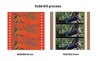 65-мм негатив и 70-мм позитив