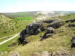 «Толтры» в севере Молдовы