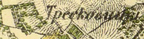 Деревня Тресковицы на карте 1860 года