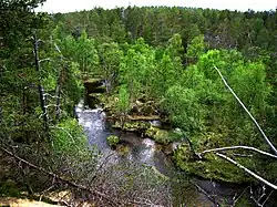 Пейзаж заповедника Цармитунтури