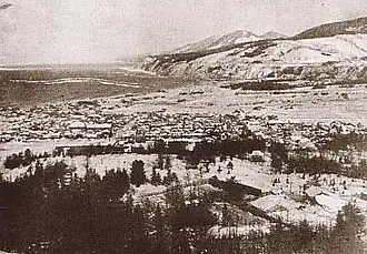 Вид посёлка Наёси