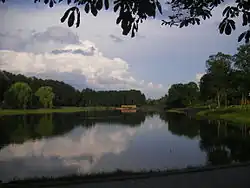 Озеро в центре