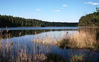 Вид на озеро весной 2014 года