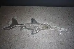 Ихтиозавры