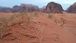 Ваги Рам — пустыня на юге страны.