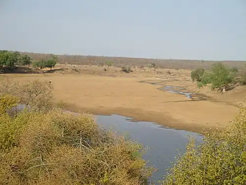 Вид с Башни Райта