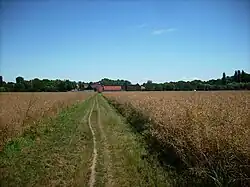 Вид на Цемиц